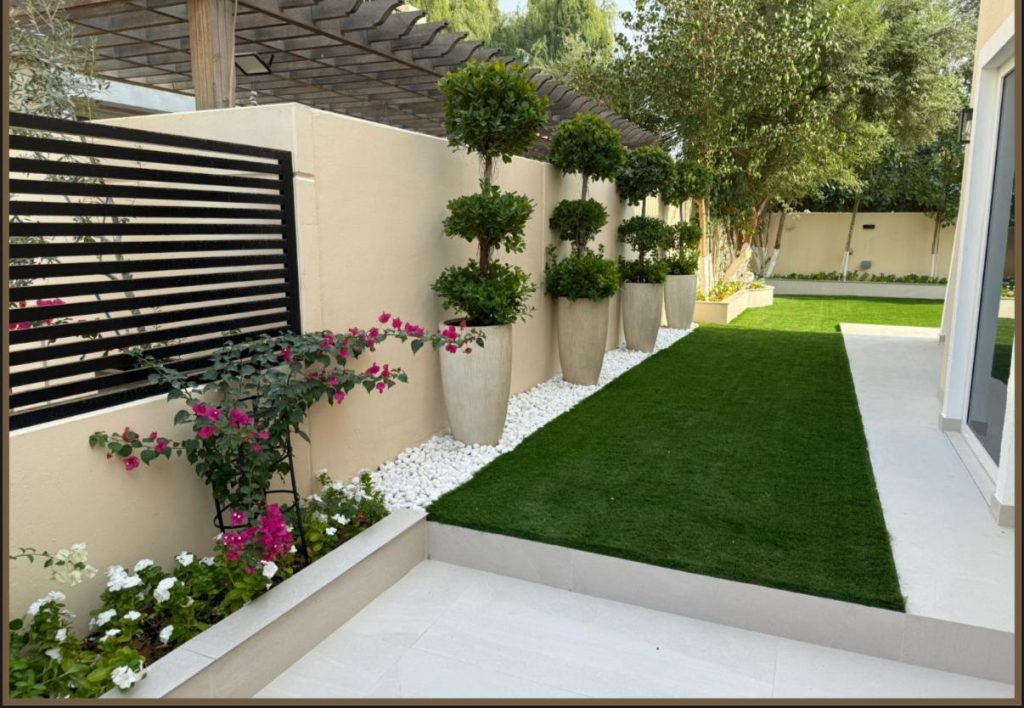 WhatsApp Image 2025-12-16 at 3.28.27 PM (1)